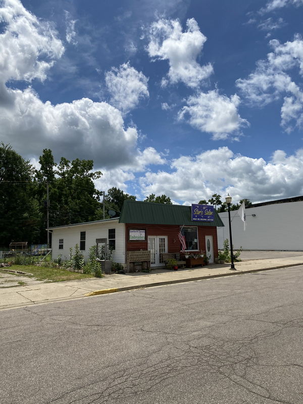 Elsie - July 12 2020 (newer photo)